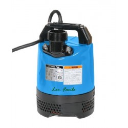 Pump submersible 2"