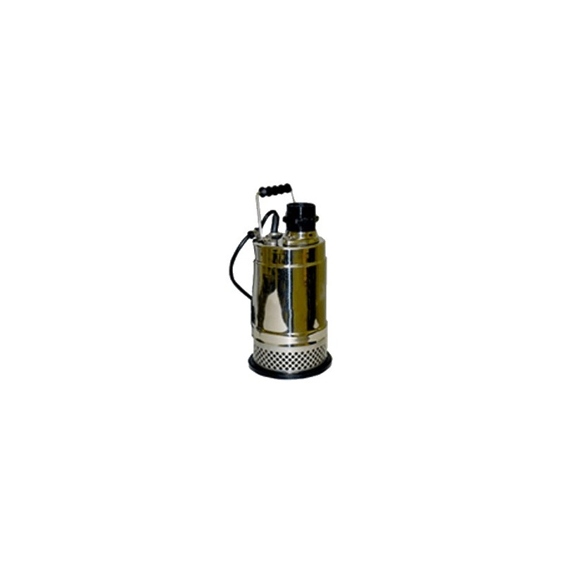 Electric pump 2 inch