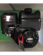 Gas Engines for Tools and Equipment | Sale