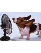 Air Ventilation – Fans & Blowers for Worksites | Rental